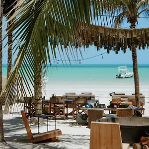 Hotel Casa Tortugas Petit &