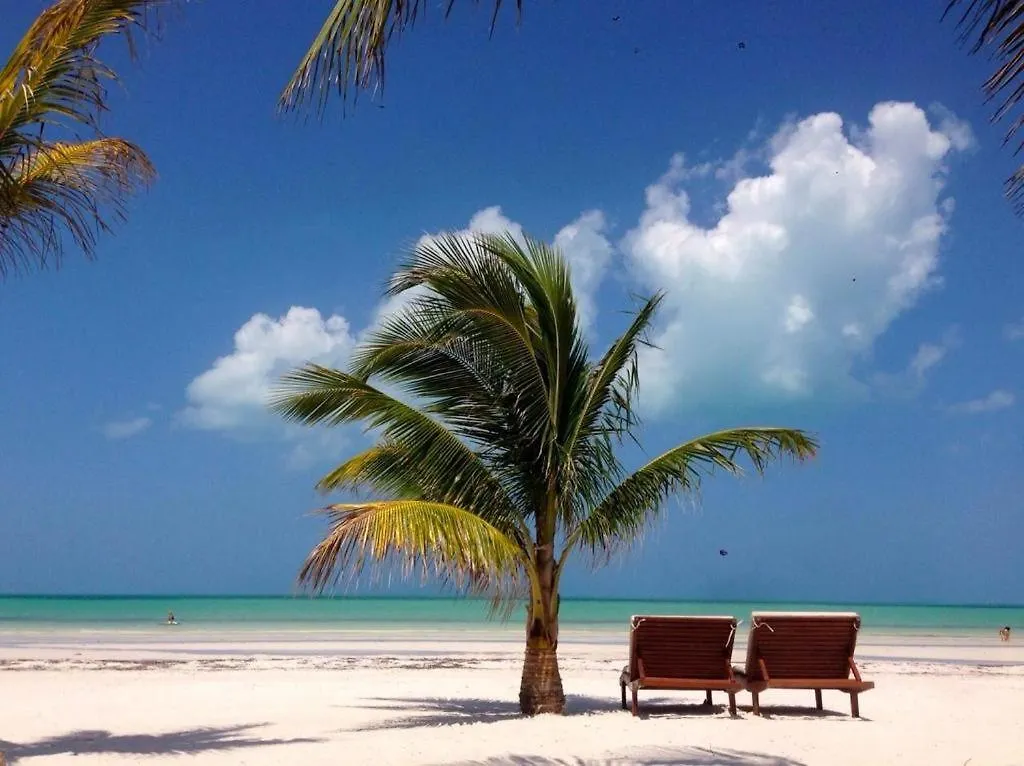 El Corazon Boutique Hotel - Adults Only With Beach Club Pass Included Isla Holbox