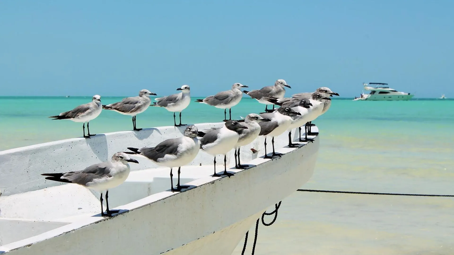 El Corazon Boutique Hotel - Adults Only With Beach Club Pass Included Isla Holbox Mexico