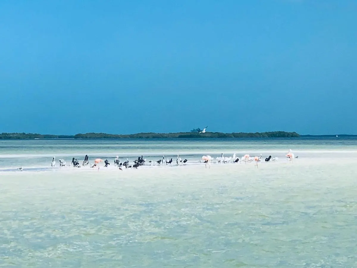 El Corazon Boutique Hotel - Adults Only With Beach Club Pass Included Isla Holbox